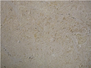 Classic Coral Stone Brushed Tiles