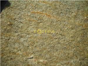Beige Quartzite Tile