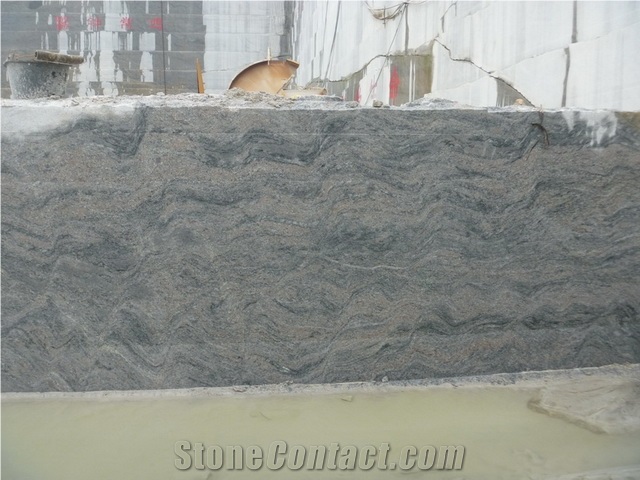 China Granite Paradiso Slab