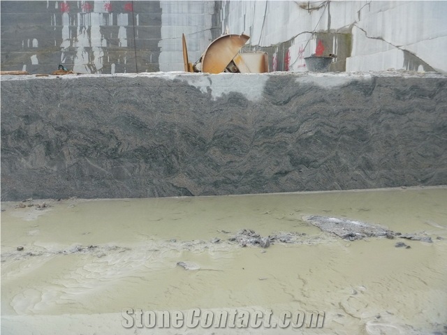China Granite Paradiso Slab