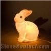 Salt Lamp
