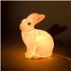 Salt Lamp