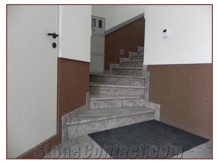 Juparana India Granite Stairs,Steps