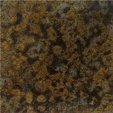 Tartuga Oro Slate