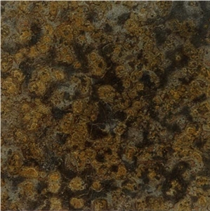 Tartuga Oro Slate