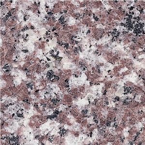 Granite Tiles, Granite Slabs, G562 Granite Slab