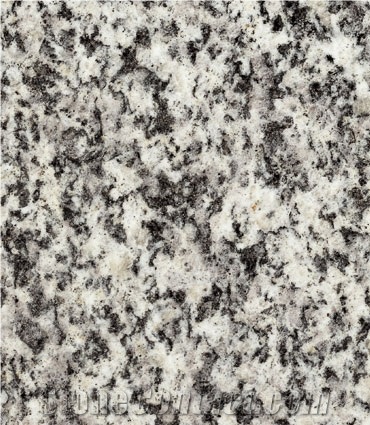Serizzo Antigorio Scuro, Italy Grey Granite Slabs & Tiles