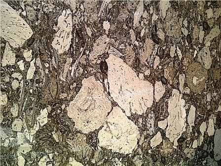 Black Gem Marble Slabs, Pakistan Black Marble
