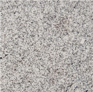 Pedras Salgadas, Portugal White Granite Slabs & Tiles