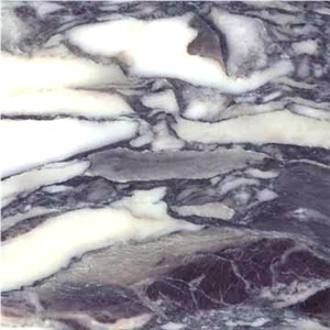 Medicis Breccia -Breccia Medicea, Italy Lilac Marble Slabs & Tiles