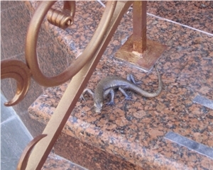 Baltic Brown Stairs, Brown Granite Stairs