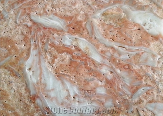 Shells Reef Pink, Syria Pink Limestone Slabs & Tiles