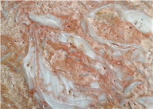 Shells Reef Pink, Syria Pink Limestone Slabs & Tiles