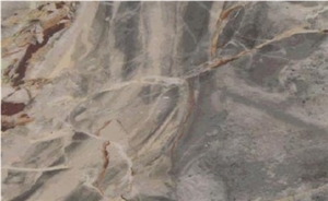 Sarrancolin Versailles, France Grey Marble Slabs & Tiles