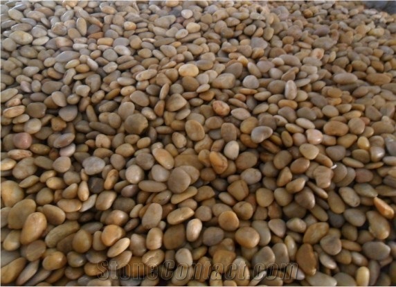 Beach Pebbles, Pebble Yellow Marble Pebbles