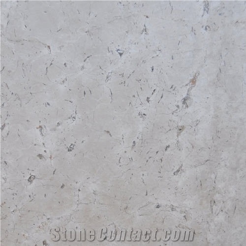 Beige Mesh, Lebanon Beige Limestone Slabs & Tiles