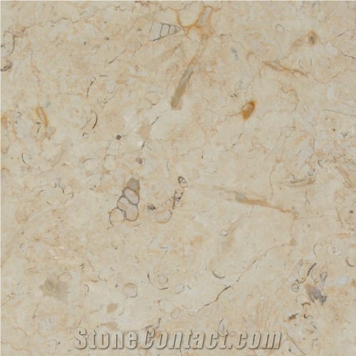 Crema Del Desierto Coral, Mexico Beige Limestone Slabs & Tiles