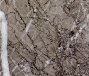 Grigio Carnico, Argentato Carnico Marble Slabs