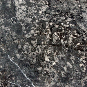 Saalburger Edelgrau Dunkel, Germany Grey Marble Slabs & Tiles Saalburger Edelgrau Dunkel, Germany Grey Marble Slabs & Tiles