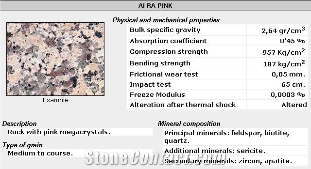 Alba Pink - Rosa Alba