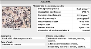 Alba Pink - Rosa Alba