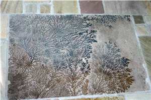 Fossil Mint Sandstone Tiles