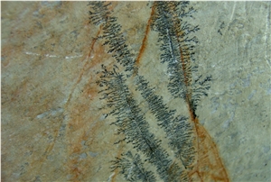 Fossil Mint Slate Tile