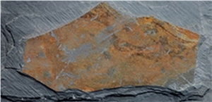 Rusty Slate Mushroom Stone