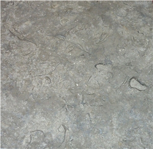 Elegant Green Limestone Marble Slabs, Egypt Green Marble