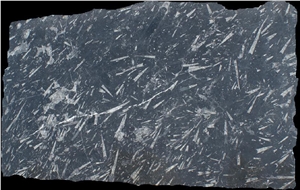 Fossil Black Limestone Slabs