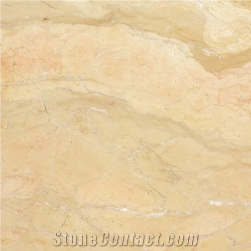 Polished Giallo Dalmatia, Limestone Slabs