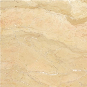 Polished Giallo Dalmatia, Limestone Slabs