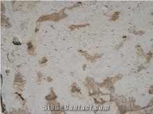 Brown Coral Stone Tiles