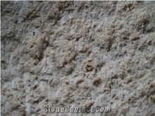 Bush Hammered Coralina Beige Coral Limestone Tiles