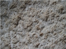 Bush Hammered Coralina Beige Coral Limestone Tiles Bush Hammered Coralina Beige Coral Limestone Tiles