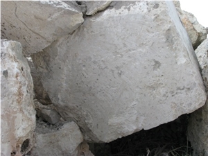 Coral Stone Blocks, Dominican White Coral Stone Rough Blocks