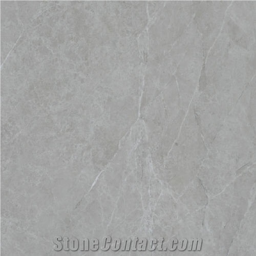 Champagne Grey Limestone Tile