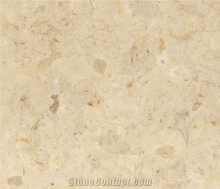 Hebron Bone Polished, Limestone Slabs