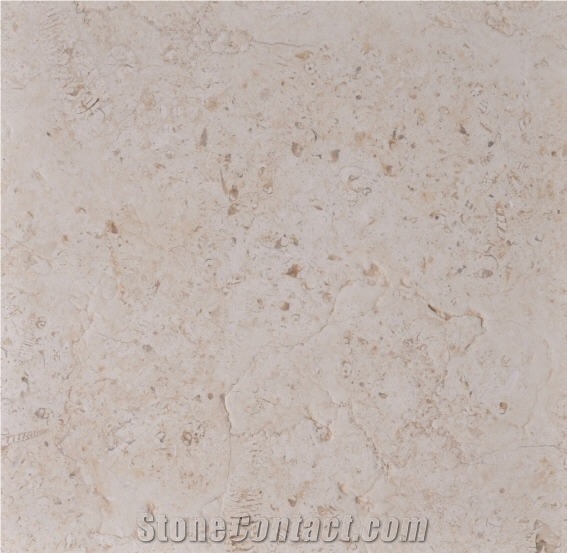 Royal Cream Brushed, Hebron Cream Limestone Slabs