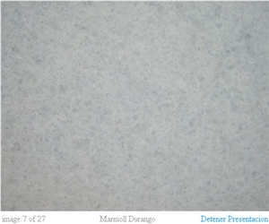 Marmol Blanco Durango Marble Tiles, Mexico White Marble Marmol Blanco Durango Marble Tiles, Mexico White Marble