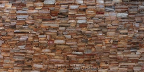 Petrified Wood - Semiprecious