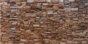 Petrified Wood - Semiprecious
