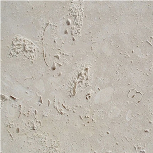 Coral Stone Tiles, Philippines White Coral Stone