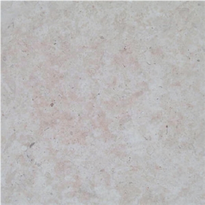 Pink Coral Stone, Pink Shell Stone Tiles