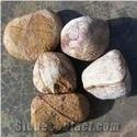 Yellow Sandstone Pebble Stones