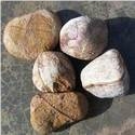 Yellow Sandstone Pebble Stones
