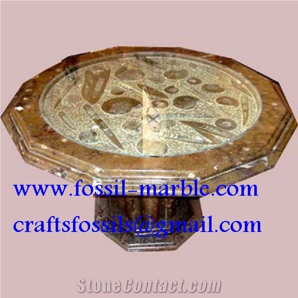 Tables En Marbre Fossilise, Fossile Marrone Brown Limestone