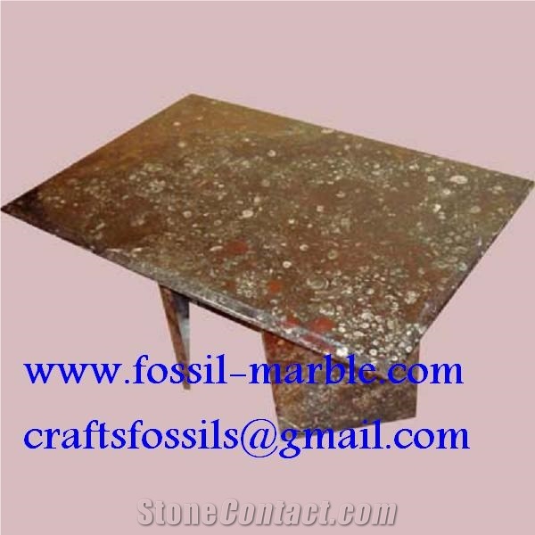 Tables En Marbre Fossilise, Fossile Marrone Brown Limestone