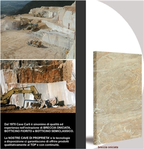 Breccia Oniciata Marble Block, Italy Beige Marble