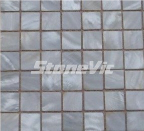 Shell Moasic
